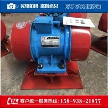 標(biāo)準(zhǔn)LZF-6倉壁振動(dòng)器