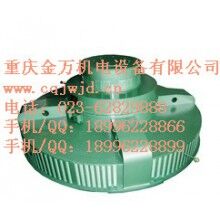 T、TL系列電機(jī)