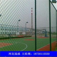 專業(yè)定制球場圍網(wǎng)價(jià)格低廉
